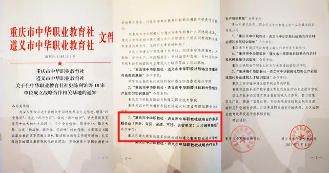 大嫂快讯 | 巴渝大嫂又担家政培育重任,双城经济南向发展。