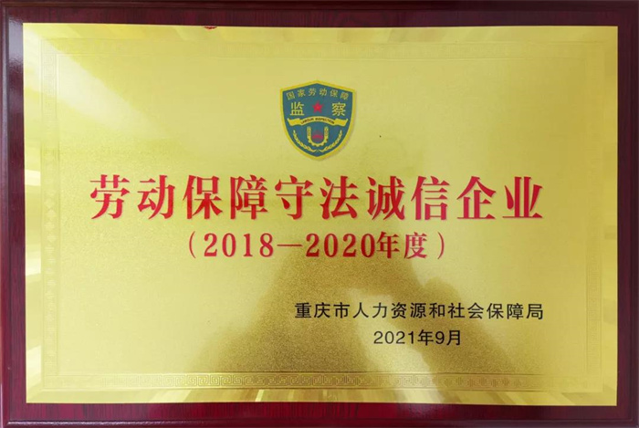 请回答2021  巴渝子弟集团公司年终回顾