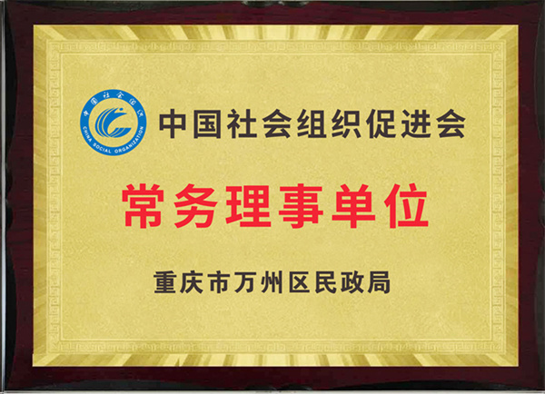 中国社会组织促进会常务理事单位